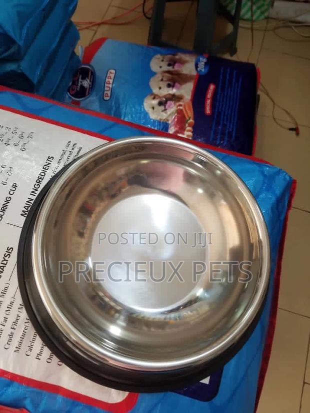 Small Size Puppy Feeding Steel Bowl · Photo 3