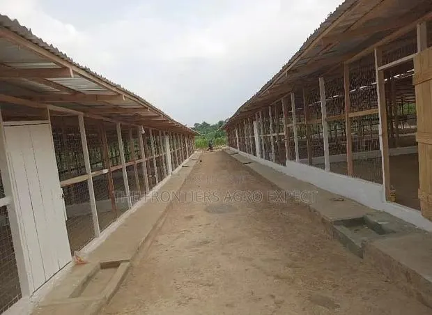 Deep Litter Housing · Photo 1