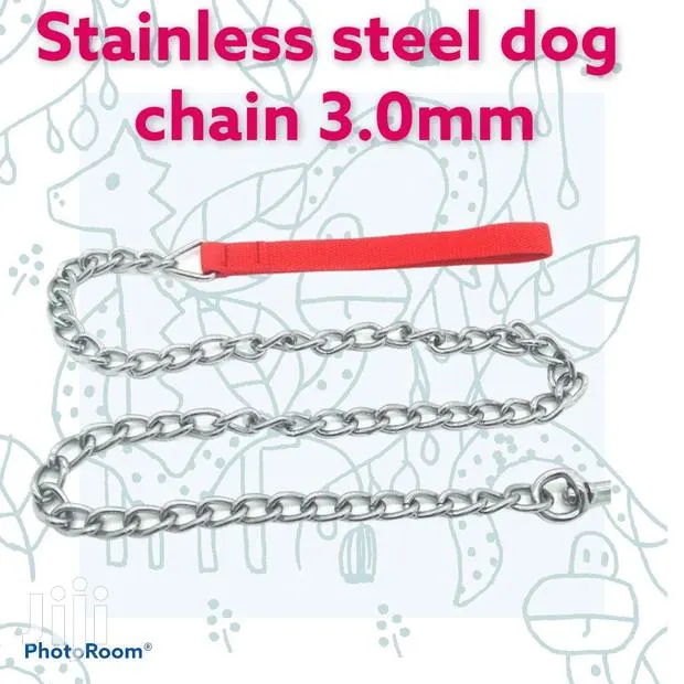 Stainless Steel Dog Chain · Photo 1