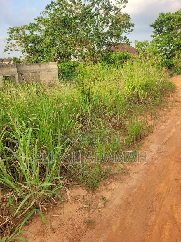 Half Plot for Sale at Santa'si Darko Near Main Road · Photo 1