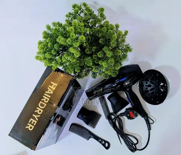 Deliya Professional Hair Dryer · Photo 1