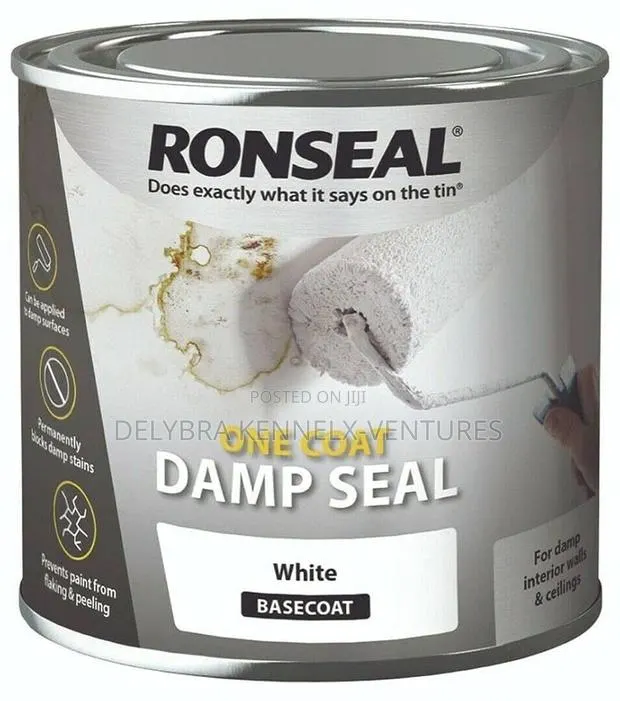 Damp Seal for Walls · Photo 1