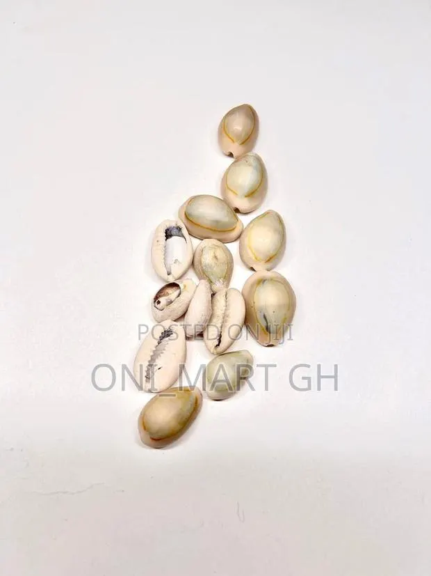 Cowrie Shells/ Sedie · Photo 1