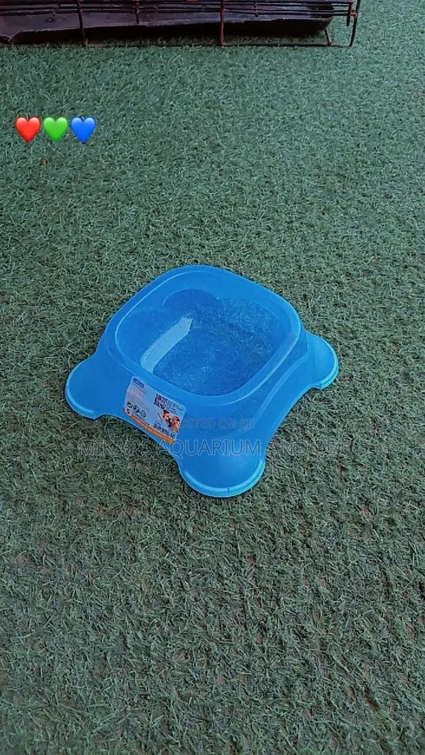 Single Dog Plastic Bowl · Photo 1