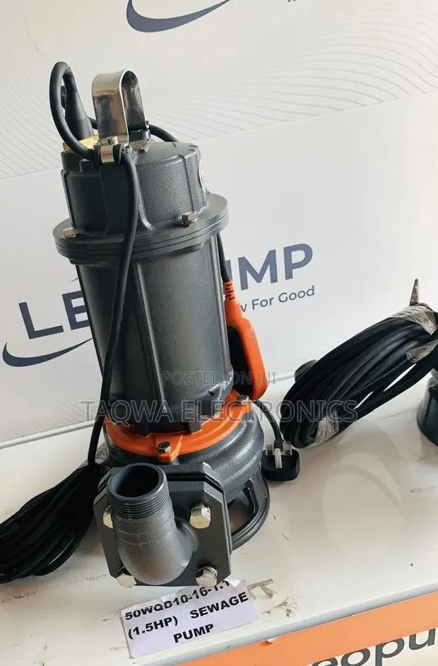 50wqd10-16-1.1a Leo 2hp Sewage Pump · Photo 1