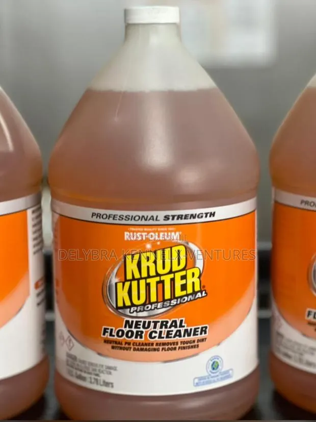 Floor Cleaner · Photo 1