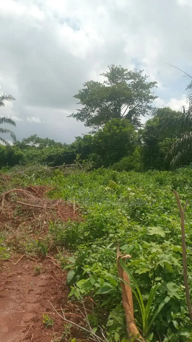 Land for Sale at Kasoa Buduatta · Photo 1