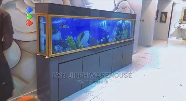 Aquarium With Live Fishes 10 Feet Tempered Glass · Photo 1