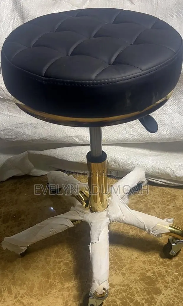 Adjustable Swivel Salon Stool With Wheels · Photo 1