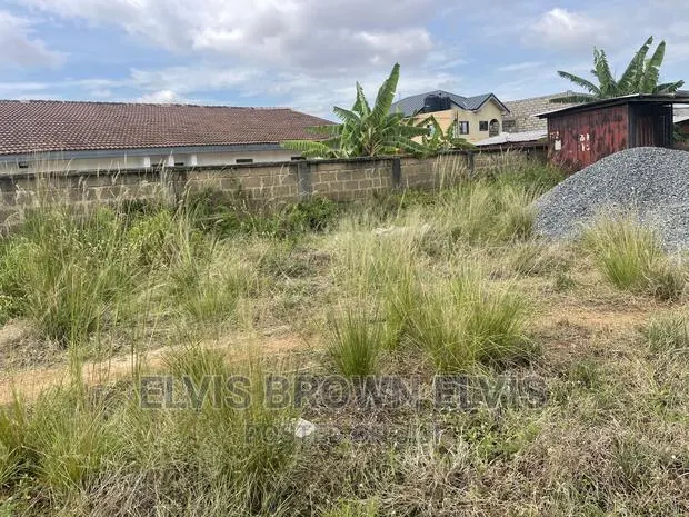Do You Need a Half Plot of Land for at Botwe SCH Jut · Photo 1