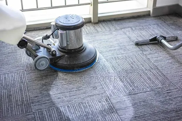 Revive Your Floor Carpets and Sofas With Cleantex · Photo 1