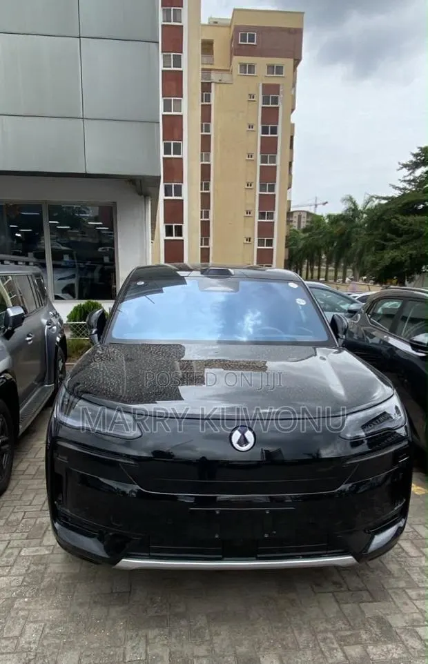 New Denza N9 2.0 Hybrid AWD 2025 Black · Photo 1