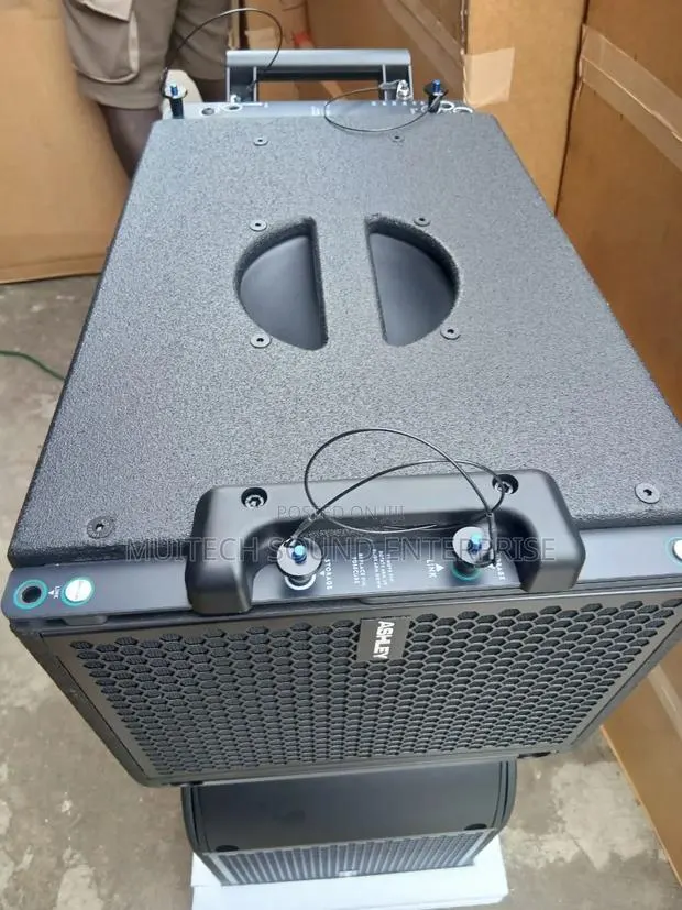 Ashley Line Array Speaker 10 Inches · Photo 6