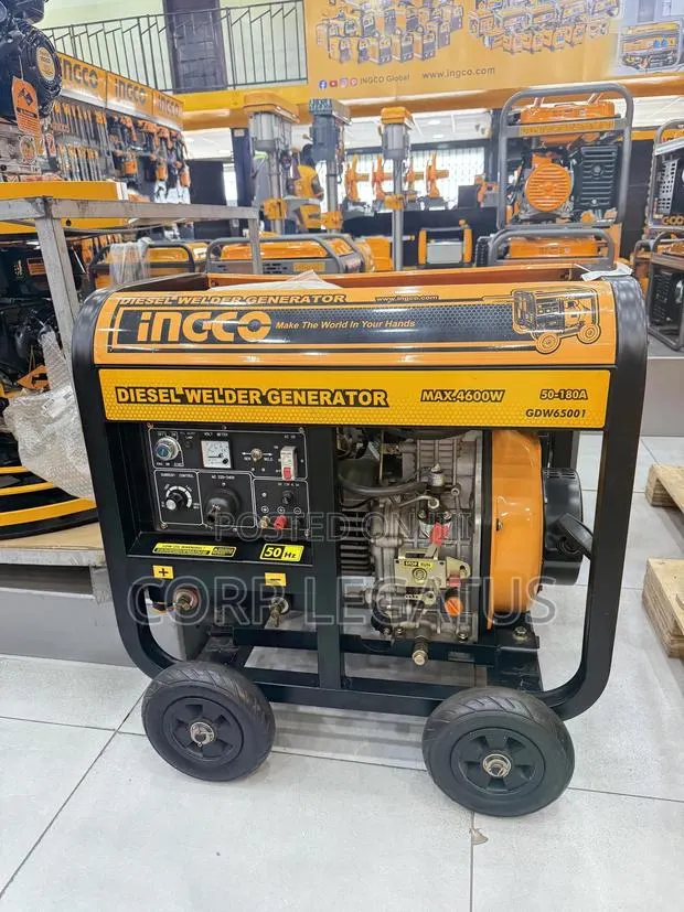 Ingco Diesel Welder Generator · Photo 1