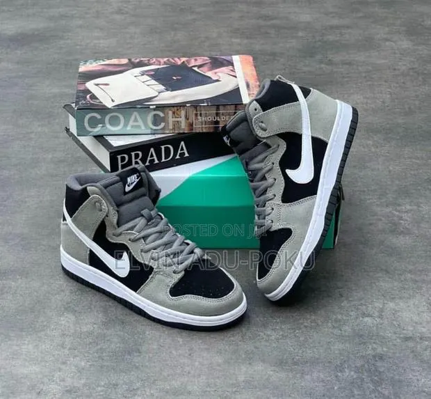 Nike Sb Dunk High Top Pro Sneaker · Photo 1