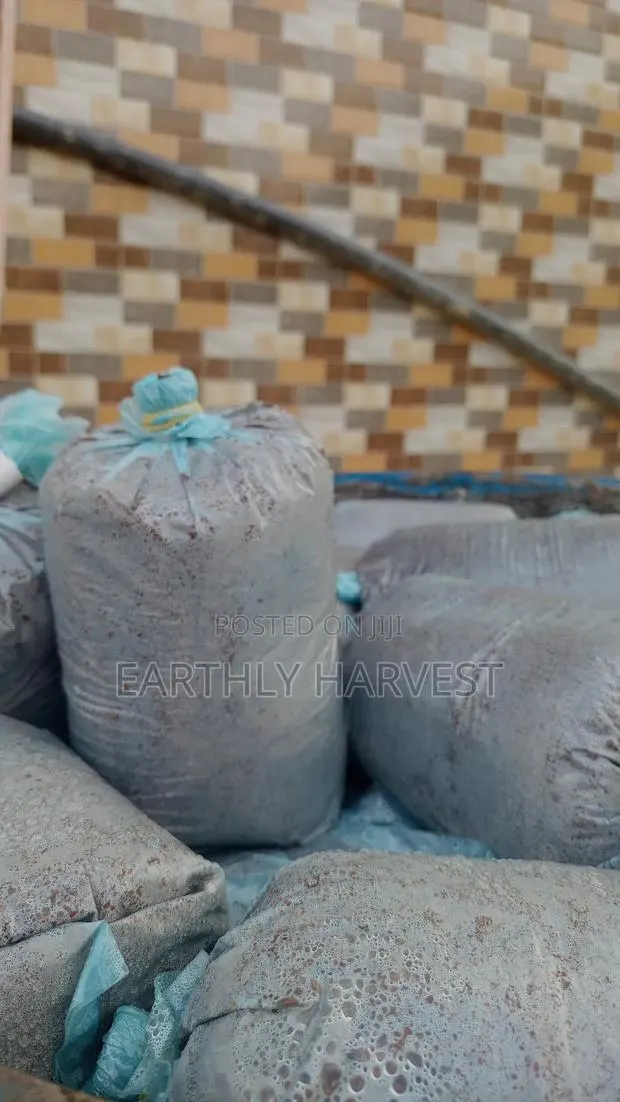 Mushroom Readymade Substrate Bags for Sale · Photo 1