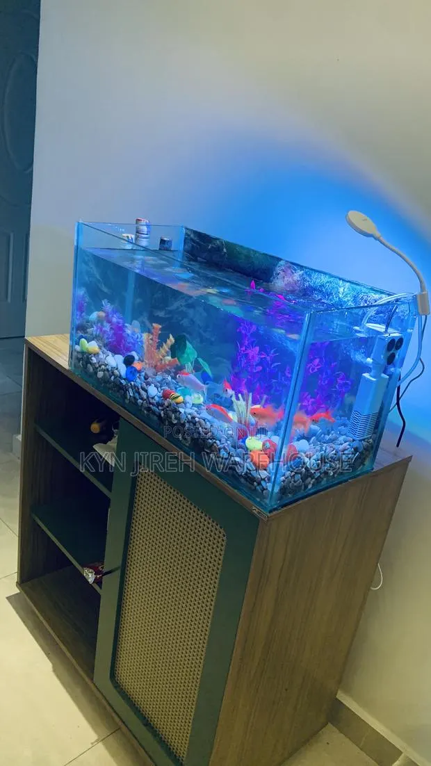 Comet Tabletop Aquarium · Photo 1