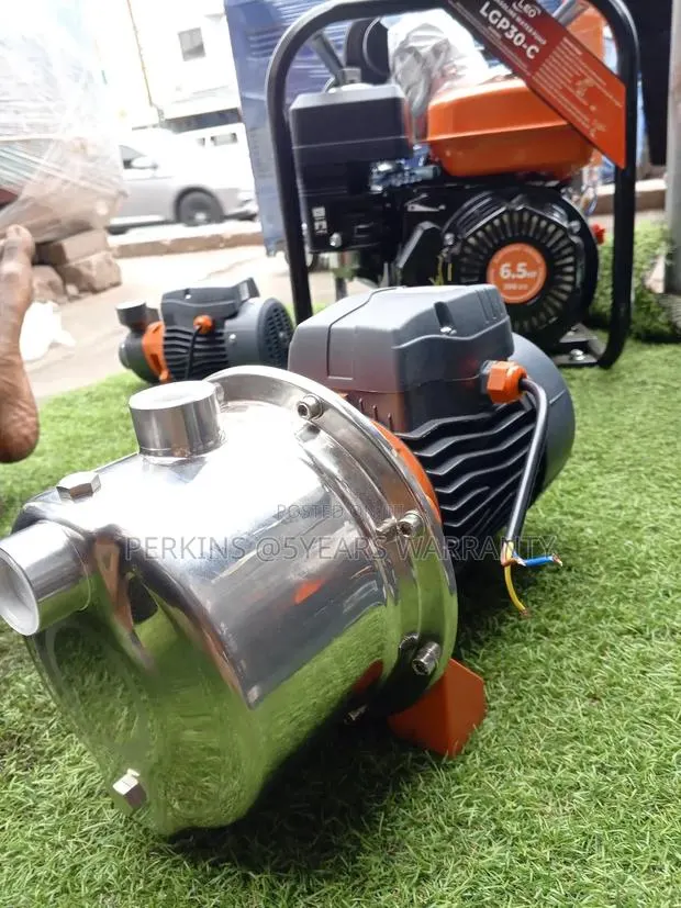 Buy 1.5hp Leo Water Pump Stainless · Photo 1