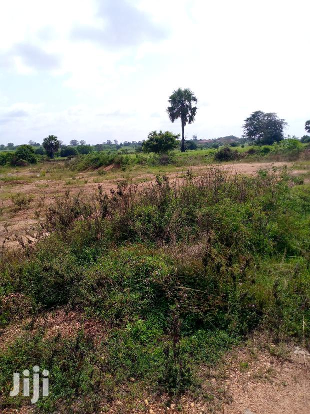 Lands for Sale at Afienya · Photo 3