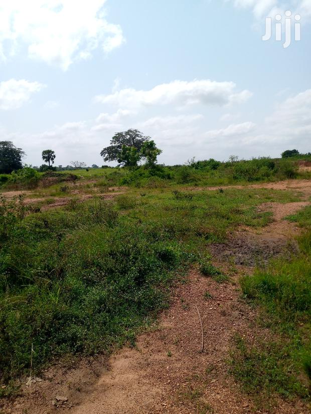 Lands for Sale at Afienya · Photo 2