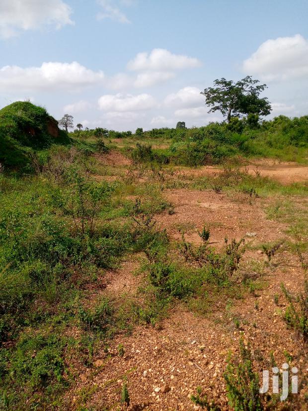 Lands for Sale at Afienya · Photo 5