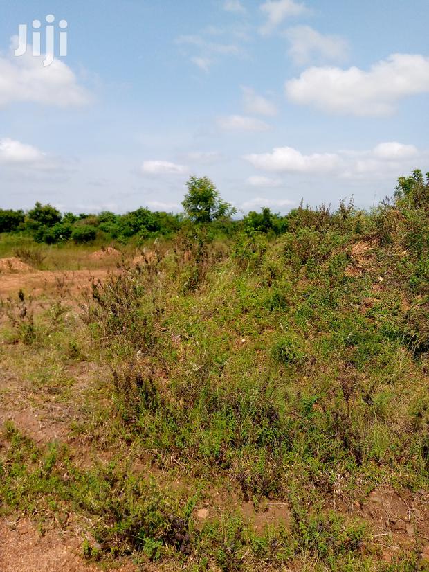 Lands for Sale at Afienya · Photo 4