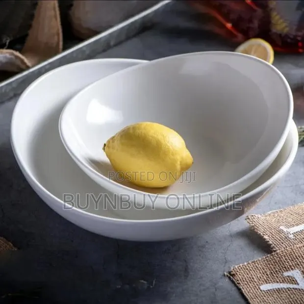 10inches Porcelain Dinner Bowl Set of 2 · Photo 1