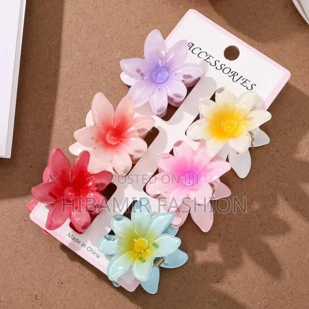 Hair Accessory · Photo 1