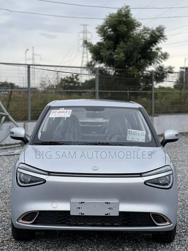 New Dongfeng Nammi Box 2025 Gray · Photo 1