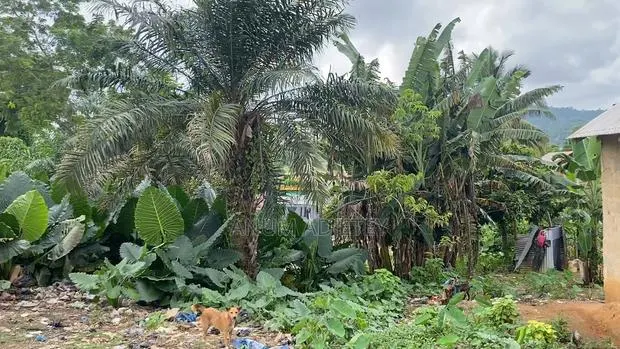1 Fine Plot of Land for Sale · Photo 1