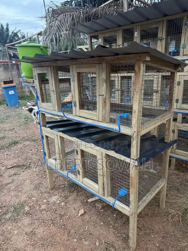 4 Rooms Modern Rabbit and Grasscutter Cage · Photo 2