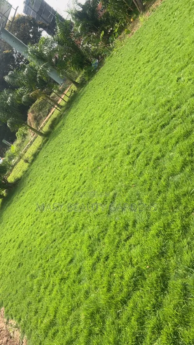 Masy Gardens N Landscaping · Photo 2