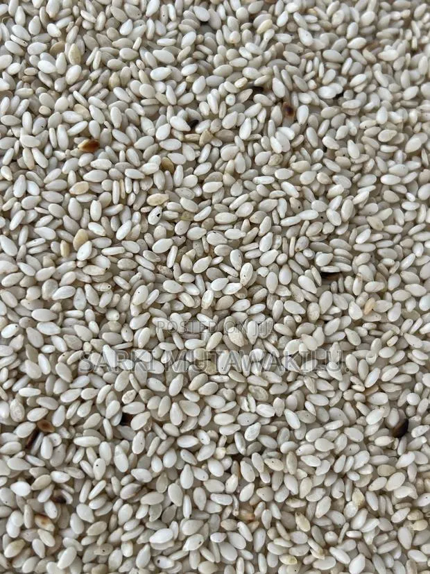 Sesame Seeds · Photo 2