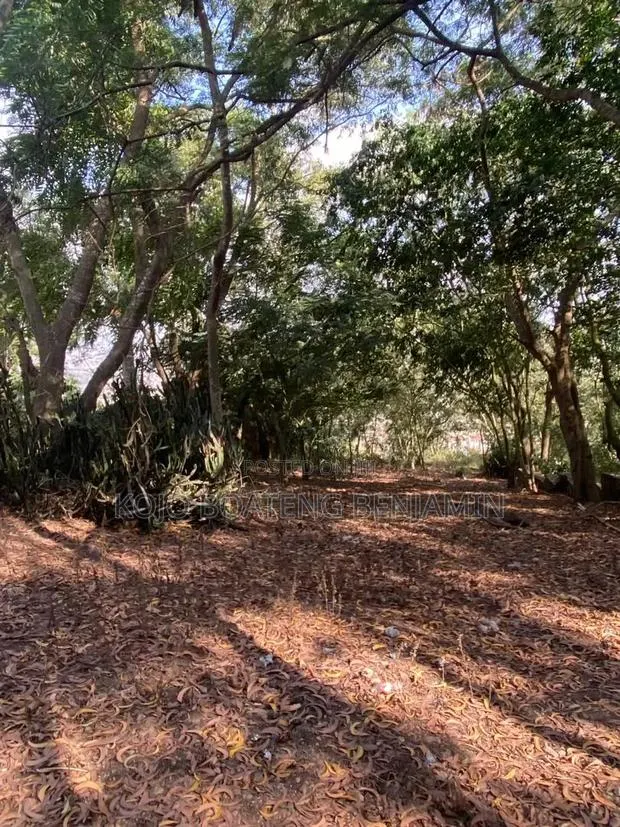 Land for Sale in Peduase Aburi · Photo 2