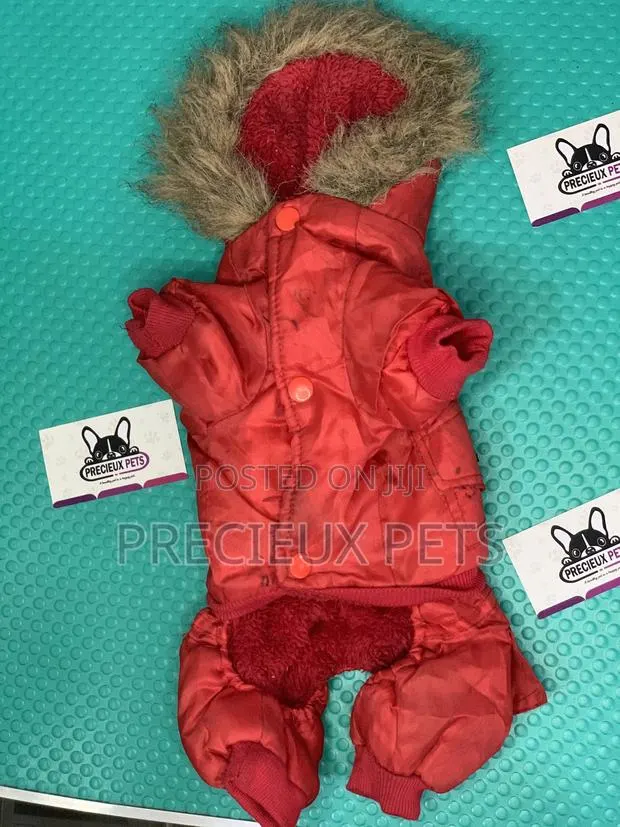 Toy Dog Clothings Series 046 · Photo 1