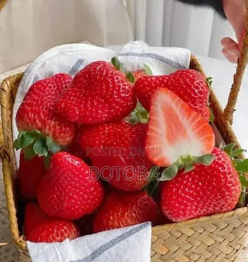 Sweet Strawberry Seeds for Planting – Home Garden, Balcony Pot Grow · Photo 4