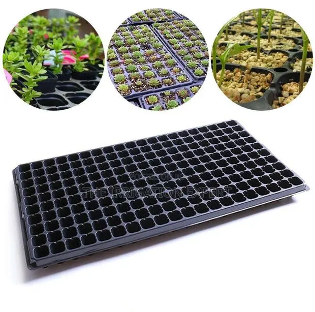 50hole Seed Tray · Photo 1