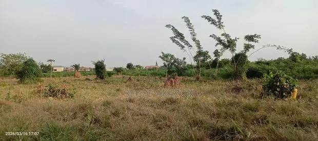 13 Acre Land for Sale at Ayi Mensah · Photo 1
