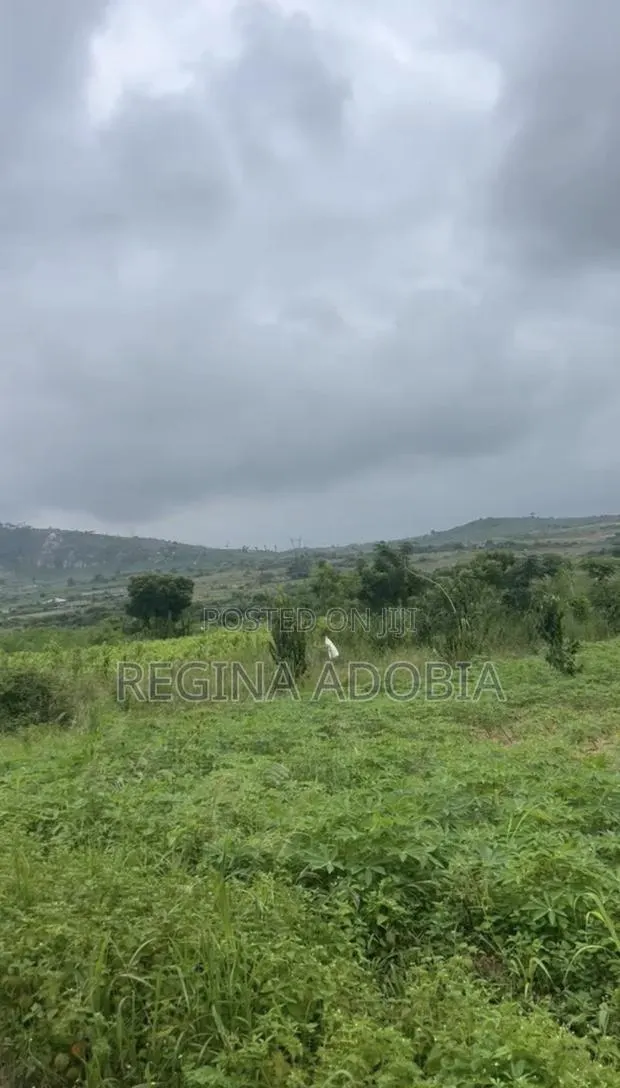 One Plot of Land · Photo 1
