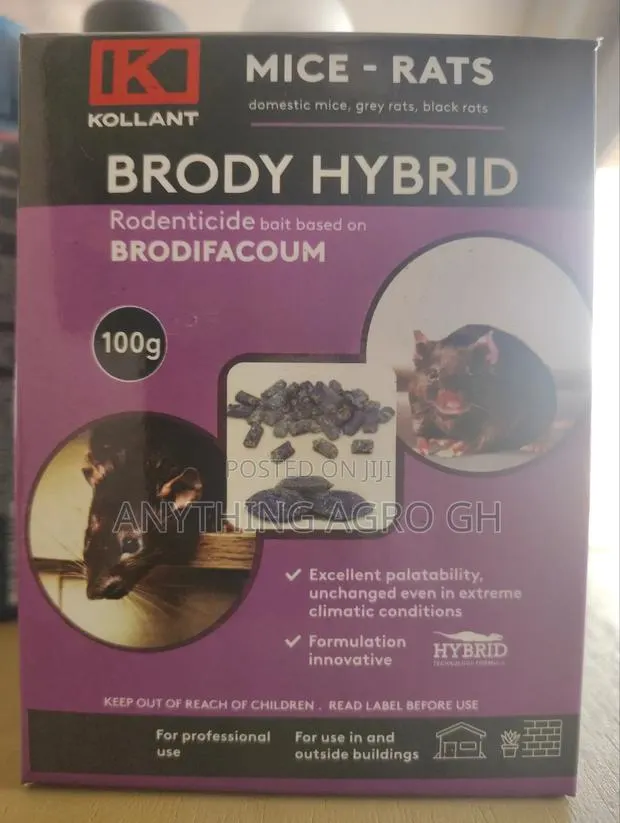 Brody Hybrid (Mice - Rats) · Photo 1