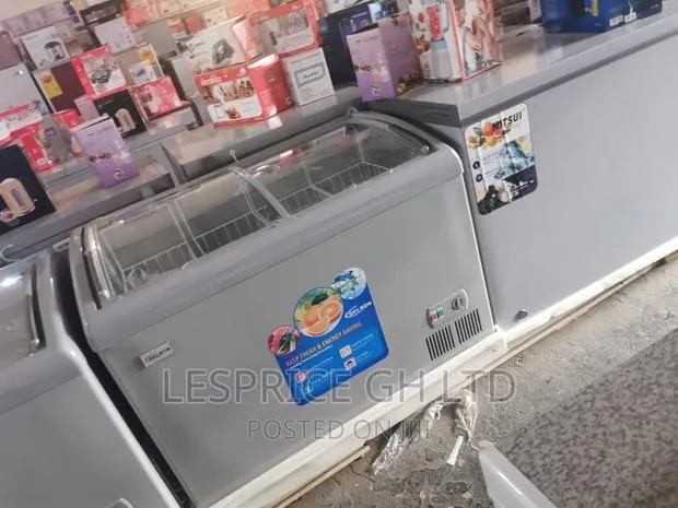 Delron 258L High Quality Freezer · Photo 1