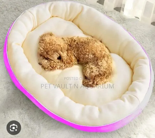 Medium Fluffy Bed for Pet · Photo 1