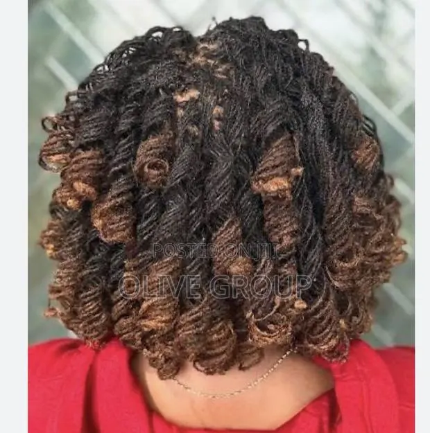 Olive Sisterlocks · Photo 1