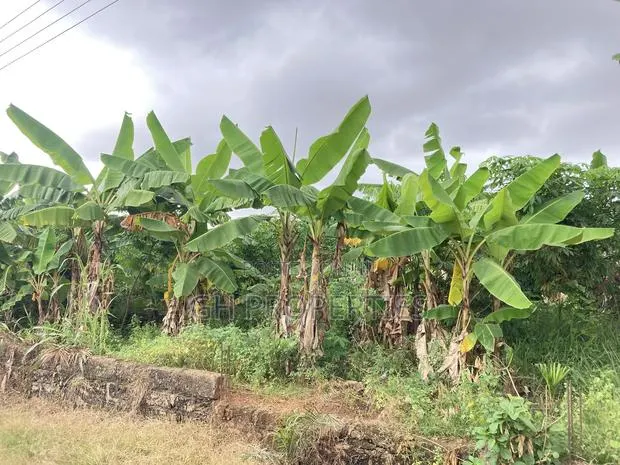 One Plot for Sale at Daban. · Photo 1
