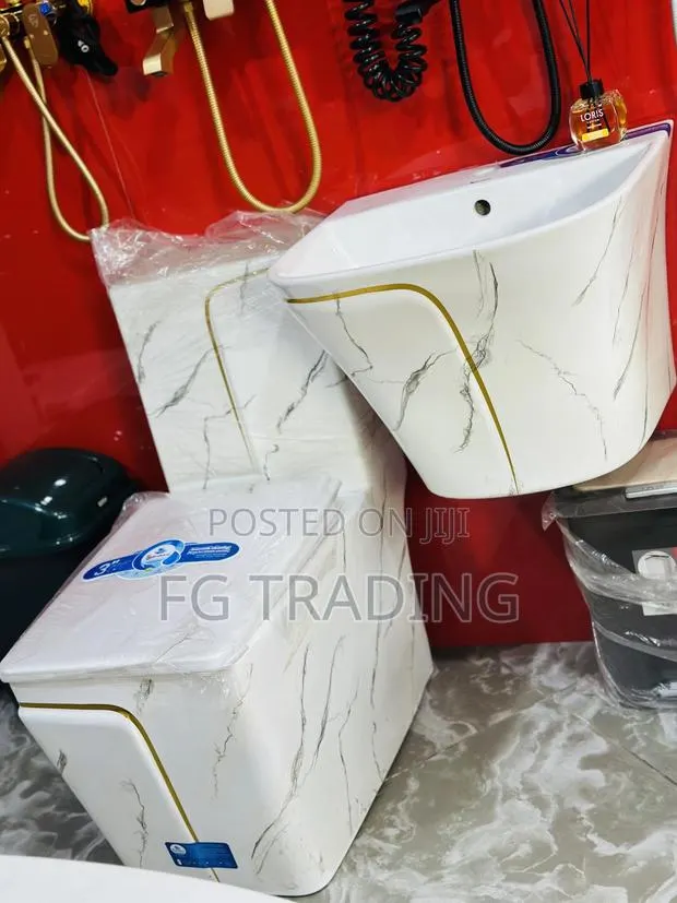 Complete Toilet Seat + Hanging Basin - Water Closet Basin · Photo 1