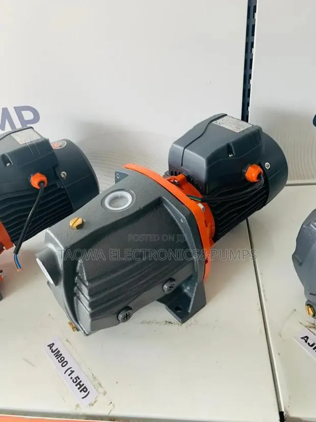 Leo Ajm90 1.5hp Cast Pump · Photo 1