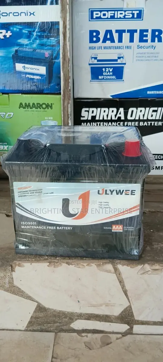ULYWEE 13 Plate Car Battery · Photo 1