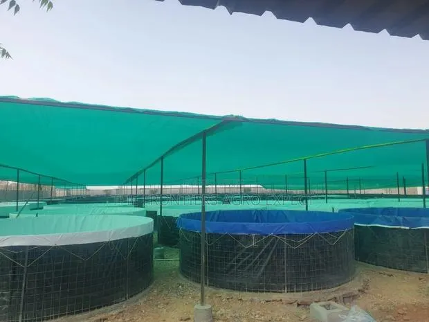 PVC Biofloc Mobile Fish Pond · Photo 1