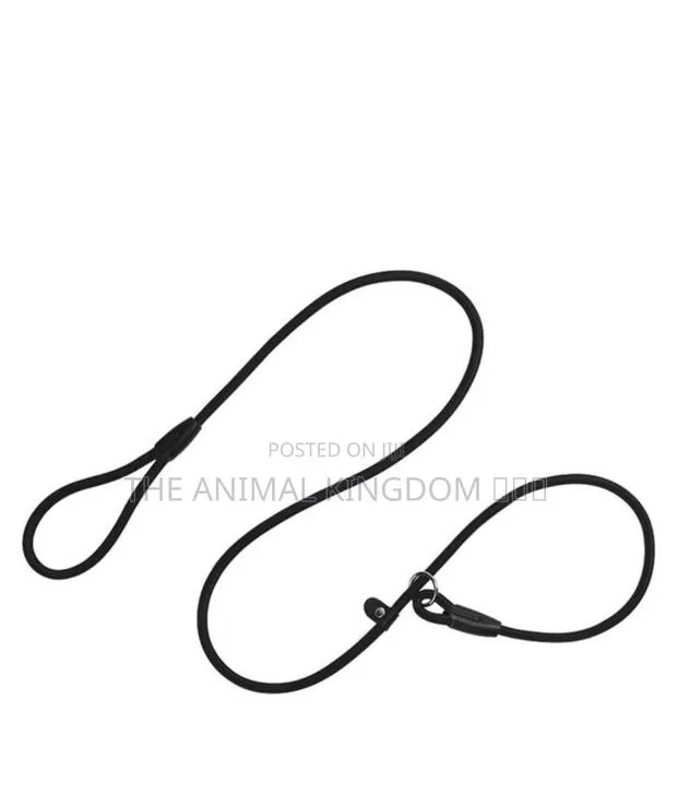 Pet Durable Training Leash · Photo 1