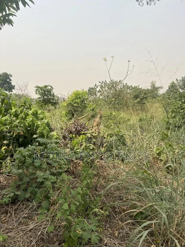 Land for Sale · Photo 2